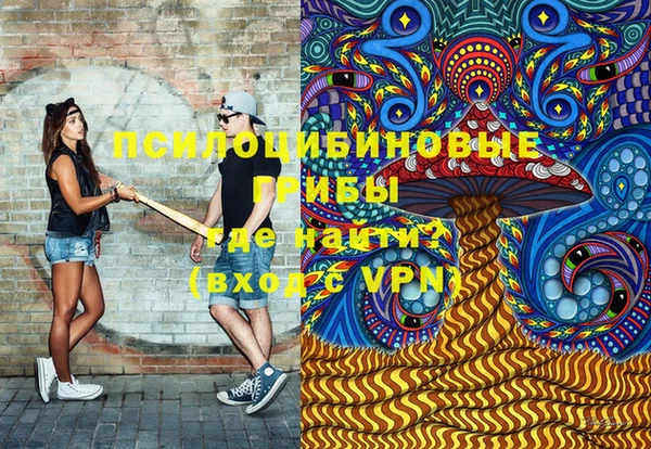 стафф Нефтекумск