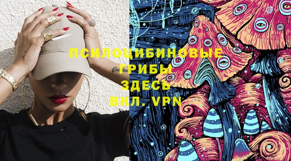 не бодяженный Алзамай